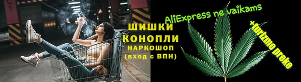 гидра Кинешма