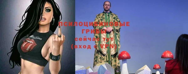 МДПВ Карталы