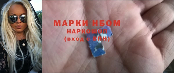 твердый Козельск