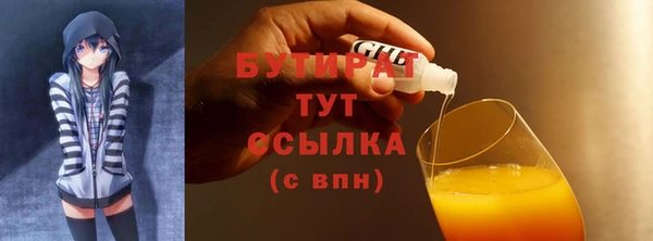 индика Карпинск