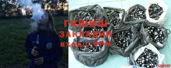 индика Карпинск