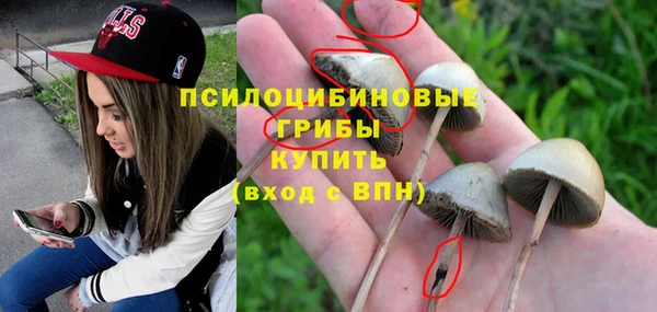 мдпв Лагань