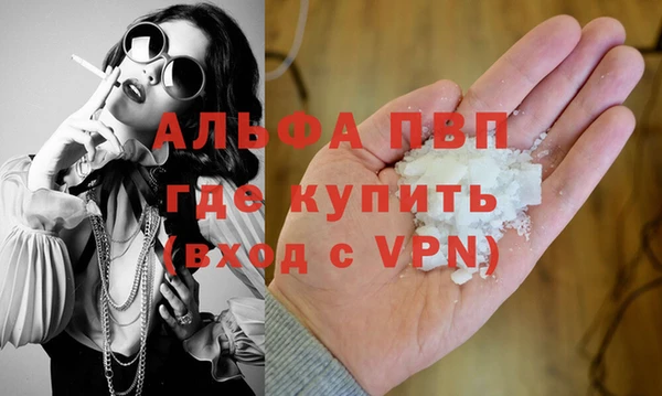 индика Карпинск