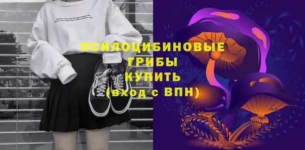 индика Карпинск