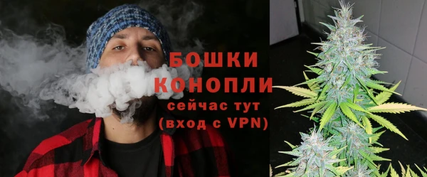 индика Карпинск